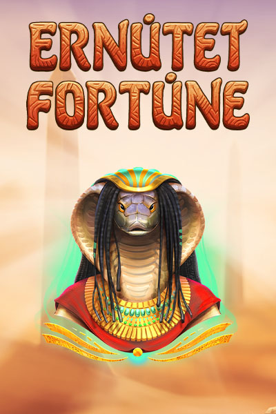 Ernutet’s Wealth